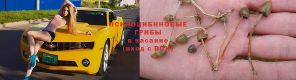 не бодяженный Богданович